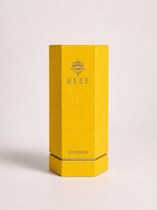 Summer Yellow REEF 100 ml | Eau de Parfum Femme Florale, Fruitée & Vanillée | Dubai Avenue
